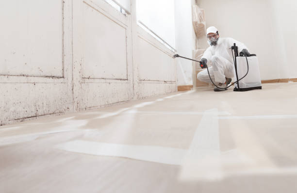 24/7 Emergency Basement Mold Removal experts in Warren, MN
